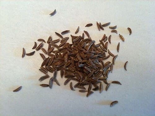 Caraway seeds