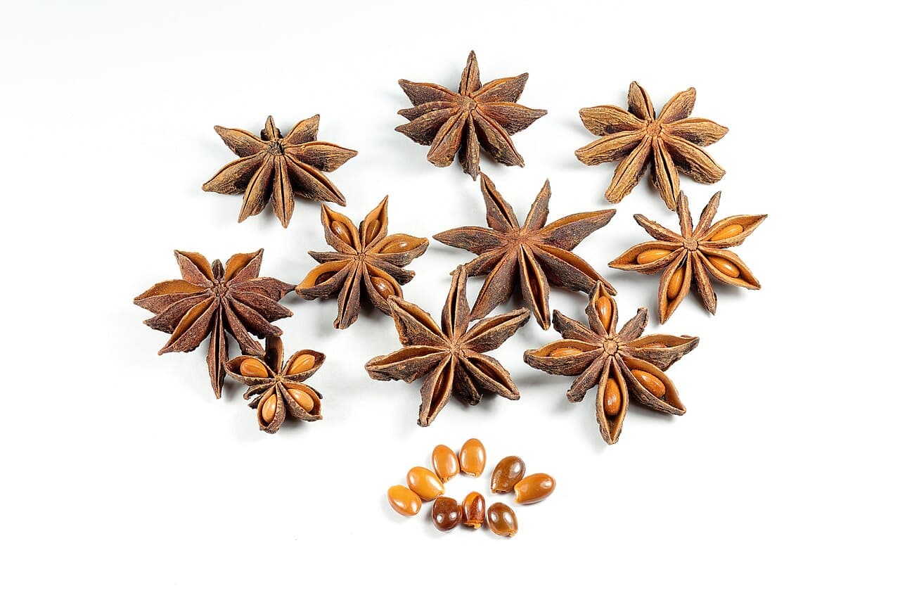 Aniseed